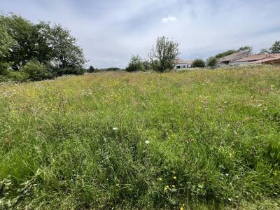 Vente Terrain VERTOU 44120
