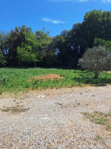 Vente Terrain ALLEINS 13980