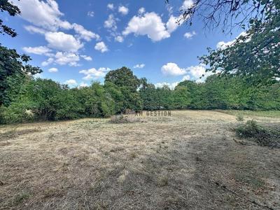 Vente Terrain SAINT-PRIEST-TAURION 87480