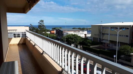 Location Appartement 2 pi�ces FURIANI 20600