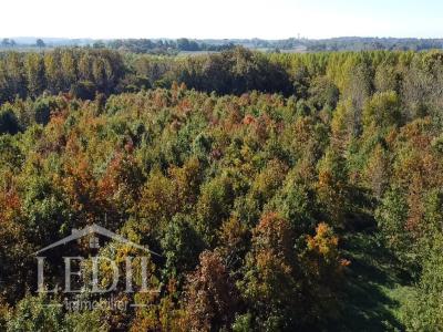 Vente Domaine forestier CAZAUBON 32150