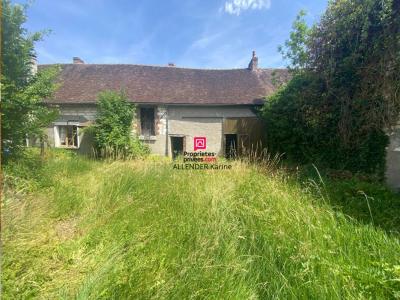 Vente Maison 5 pi�ces VILLENEUVE-L'ARCHEVEQUE 89190