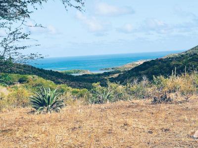 Vente Terrain MARIN 97290