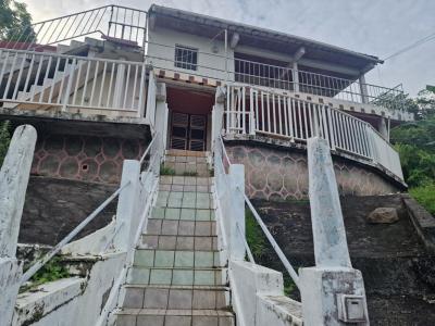 Vente Maison 7 pi�ces SAINT-ESPRIT 97270