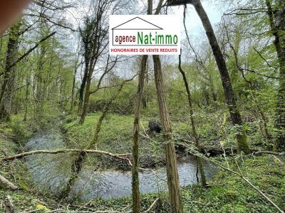 Vente Terrain TRIGUERES 45220