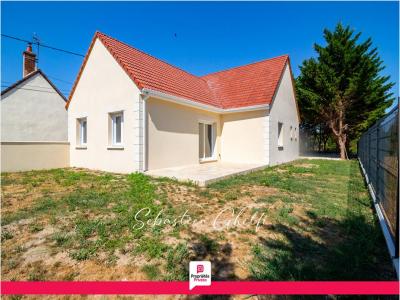 Vente Maison 5 pi�ces CHATILLON-SUR-CHER 41130