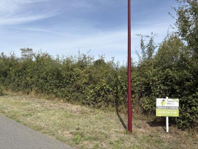 Vente Terrain VALENCAY 36600