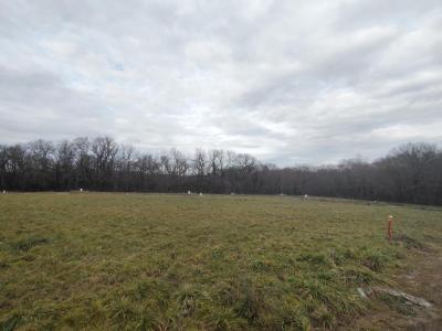 Vente Terrain BOULIAC 33270
