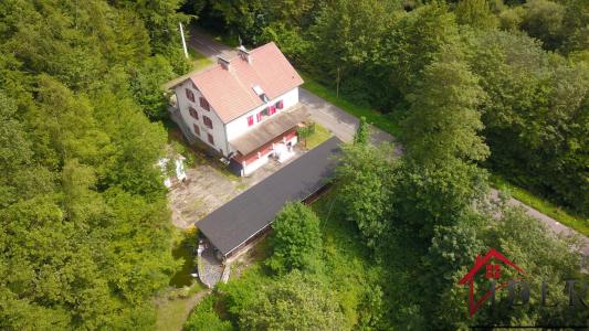 Vente Prestige PETITE-PIERRE 67290