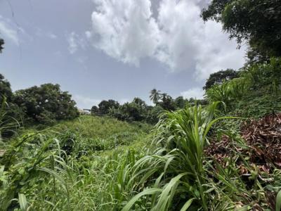 Vente Terrain RIVIERE-SALEE 97215