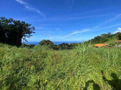 Vente Terrain MORNE-VERT 97226