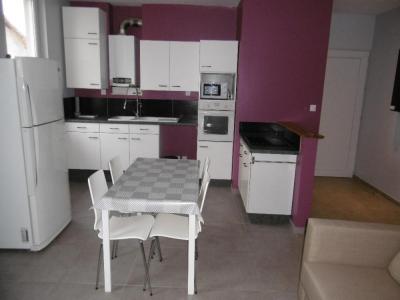 Location Appartement 2 pi�ces ROCHE-LA-MOLIERE 42230
