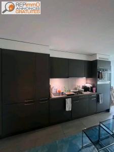 Location Appartement 2 pi�ces LILLE 59800