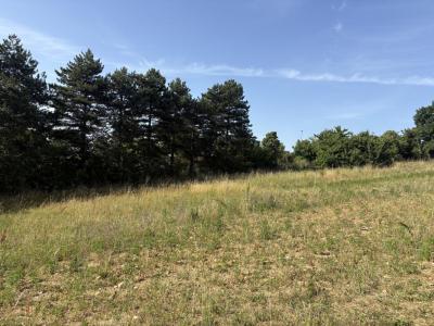 Vente Terrain SAINTE-FOY-LES-LYON 69110