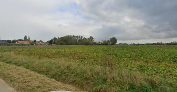 Vente Terrain ERINGHEM 59470