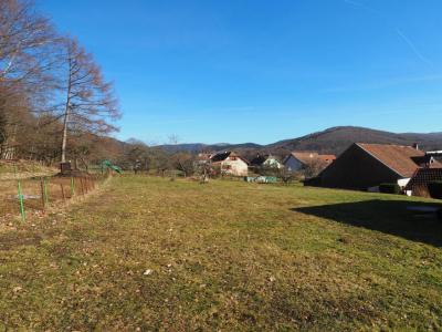Vente Domaine forestier GIROMAGNY 90200