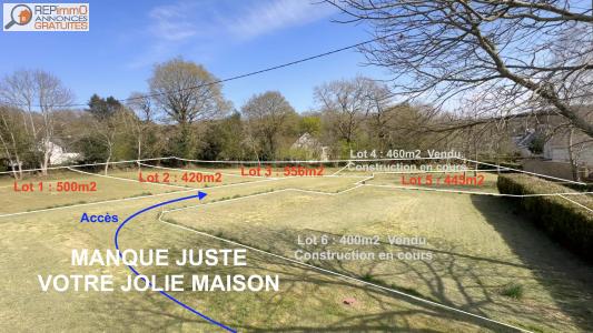 Vente Terrain PLUVIGNER 56330
