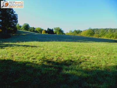 Vente Terrain COURPIERE 63120