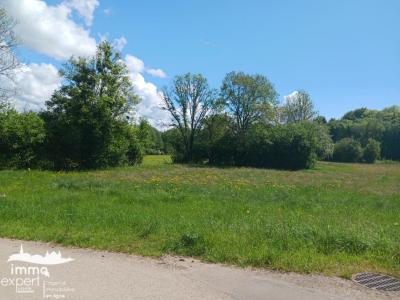 Vente Terrain DOMPAIRE 88270