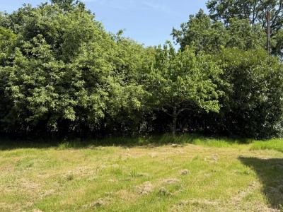 Vente Terrain CELLIER 44850