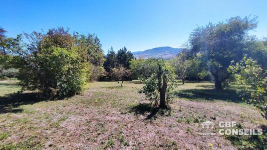 Vente Terrain VEYRE-MONTON 63960