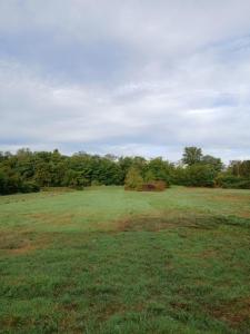 Vente Maison 5 pi�ces KUNHEIM 68320