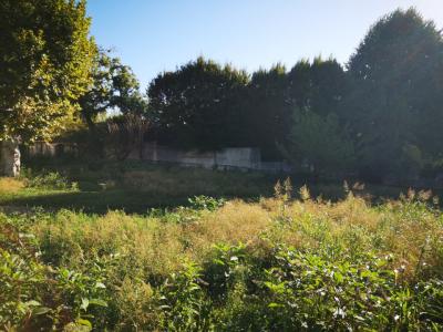Vente Terrain FONTAINES-SAINT-MARTIN 69270