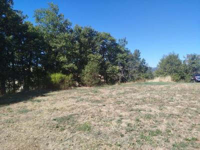 Vente Terrain CHAMPIS 07440