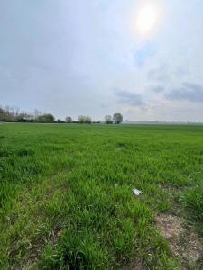 Vente Terrain ERINGHEM 59470