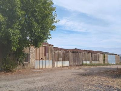 Vente Maison 6 pi�ces LOROUX-BOTTEREAU 44430