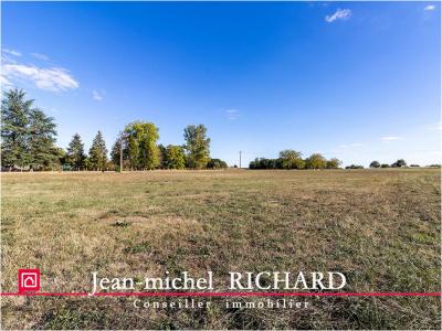 Vente Terrain CHABRIS 36210