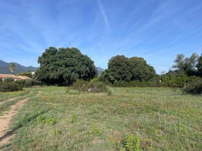 Vente Terrain GHISONACCIA 20240