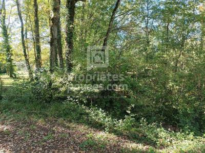 Vente Terrain MONTGESTY 46150