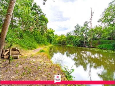 Vente Terrain PRUNIERS-EN-SOLOGNE 41200