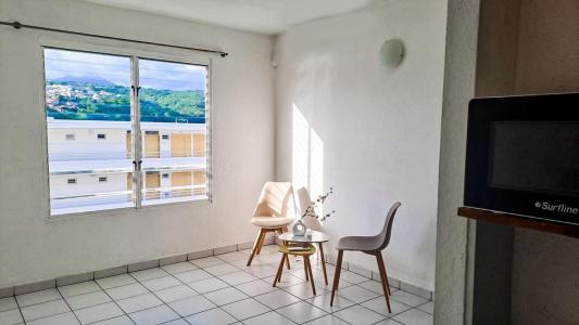 Vente Appartement SCHOELCHER 97233
