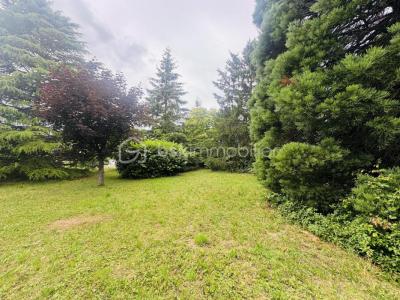 Vente Terrain SEMOY 45400