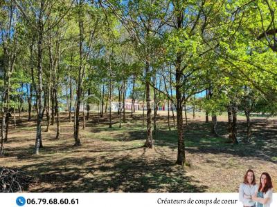 Vente Maison 6 pi�ces BEAUSSAIS 79370