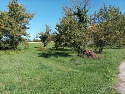 Vente Terrain SAINT-VINCENT-RIVE-D'OLT 46140