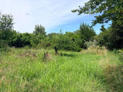 Vente Terrain SAINT-HILAIRE-D'OZILHAN 30210