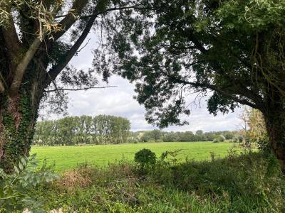 Vente Terrain MAGNY-EN-VEXIN 95420