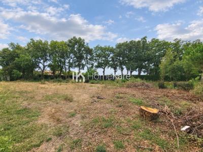 Vente Terrain FONSORBES 31470