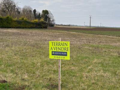 Vente Terrain SAINT-PRYVE-SAINT-MESMIN 45750