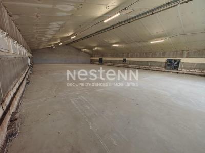 Vente Commerce FOSSE 41330
