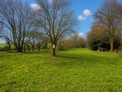 Vente Terrain MONCHEAUX 59283