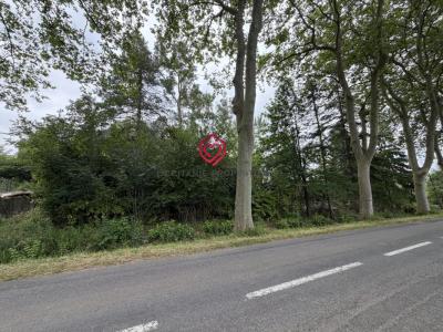 Vente Terrain CASTAGNAC 31310