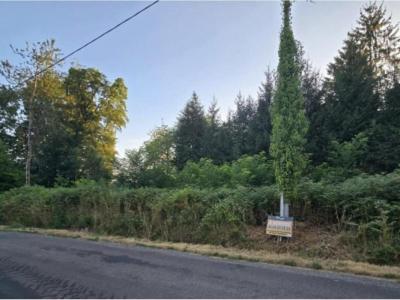 Vente Terrain SAINT-JUST-LE-MARTEL 87590