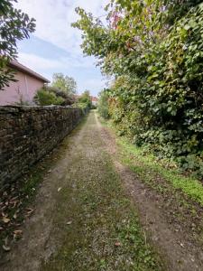 Vente Terrain PUSEY 70000