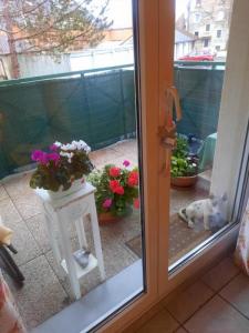Location Appartement 3 pi�ces SELONCOURT 25230