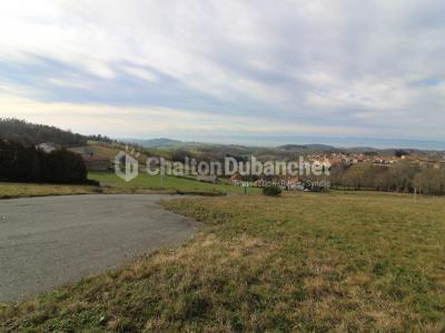 Vente Terrain MONTCHAL 42360