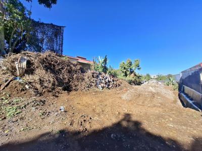 Vente Terrain SAINT-LOUIS 97450